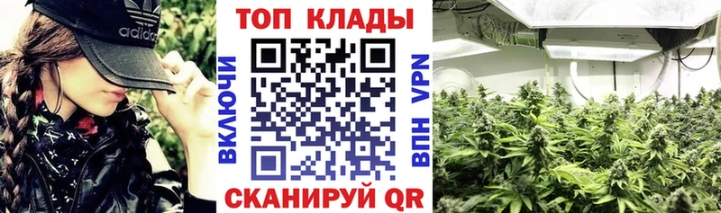 Купить закладку Каннабис NBOMe Гашиш Меф мяу мяу A PVP Амфетамин Всеволожск