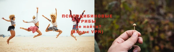 ГАЛЛЮЦИНОГЕННЫЕ ГРИБЫ Баксан