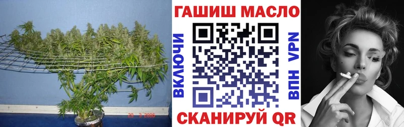 Купить закладки  Всеволожск  ТГК вейп с тгк 