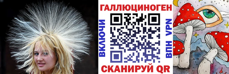 Купить где Всеволожск Псилоцибиновые грибы Cubensis